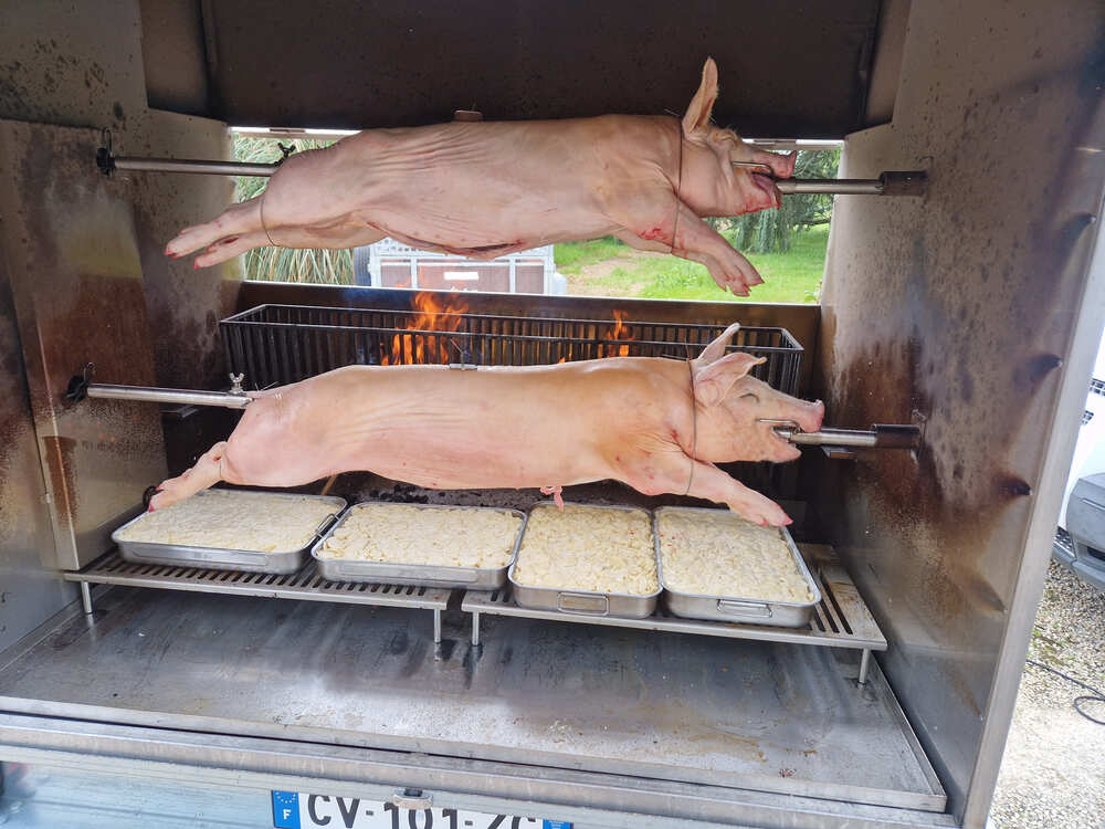 Deux cochons de lait prêt a cuire à la broche